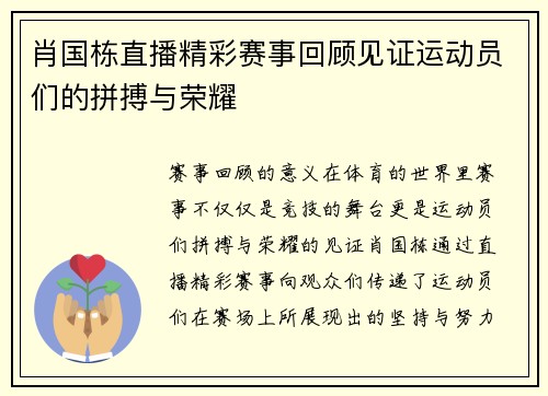 肖国栋直播精彩赛事回顾见证运动员们的拼搏与荣耀