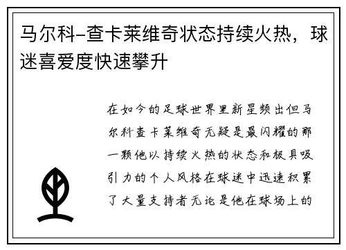 马尔科-查卡莱维奇状态持续火热，球迷喜爱度快速攀升