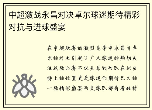 中超激战永昌对决卓尔球迷期待精彩对抗与进球盛宴